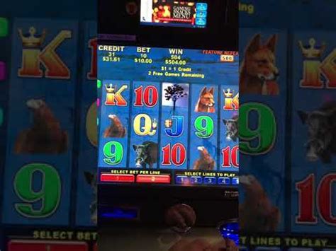 big pokie wins|MASSIVE REAL PUB & CLUB JACKPOTS POKIE WINS .